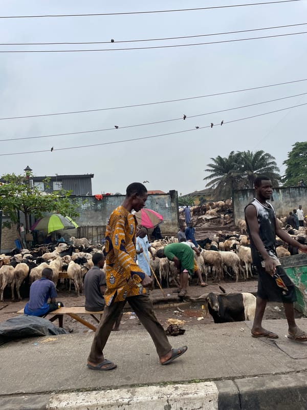 Busy sheep market captured in Lagos, Nigeria