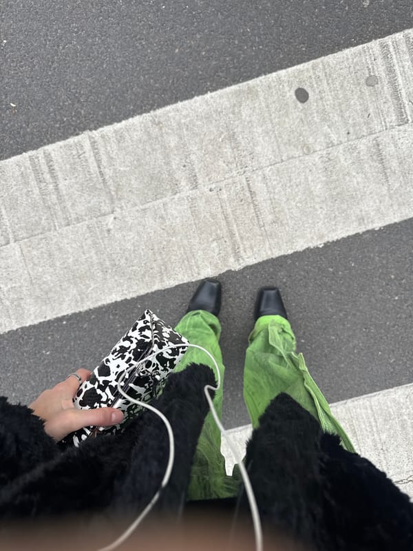 Woman in distinctive outfit spotted on Paris street, elevator