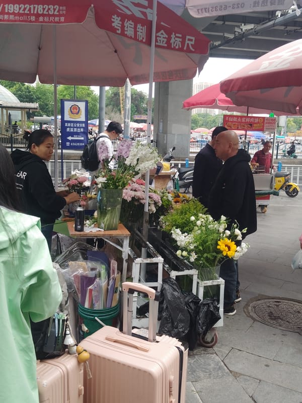 Flower vendor operates in Chongqing High-tech Zone street scene