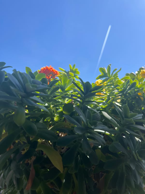 Woman documents beauty salon visit with makeup, flowers in Budva