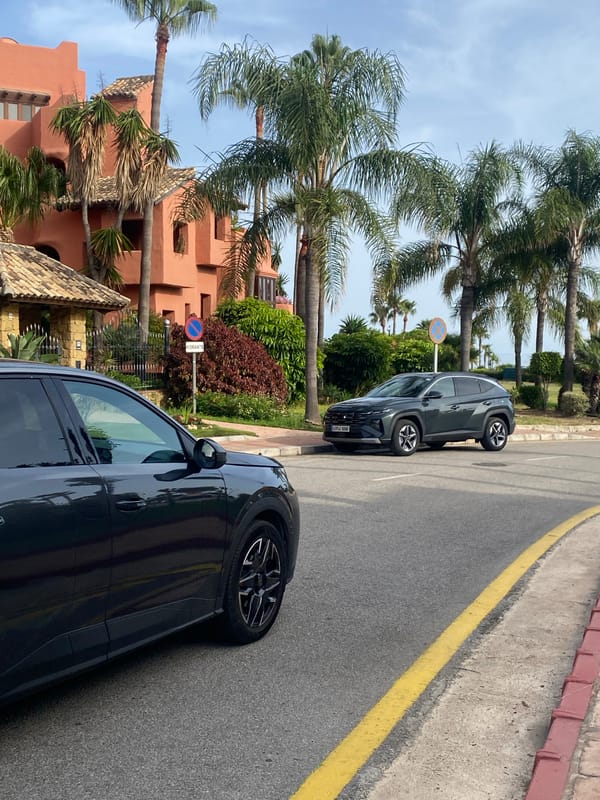 Afternoon on Estepona's palm-lined coastal promenade