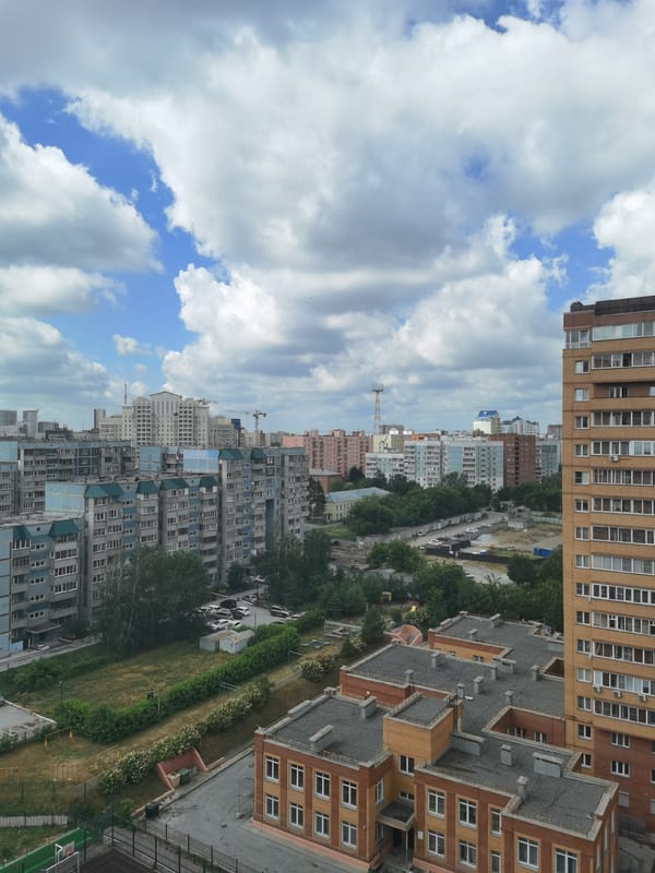 Novosibirsk skyline and a floral painting, same moment