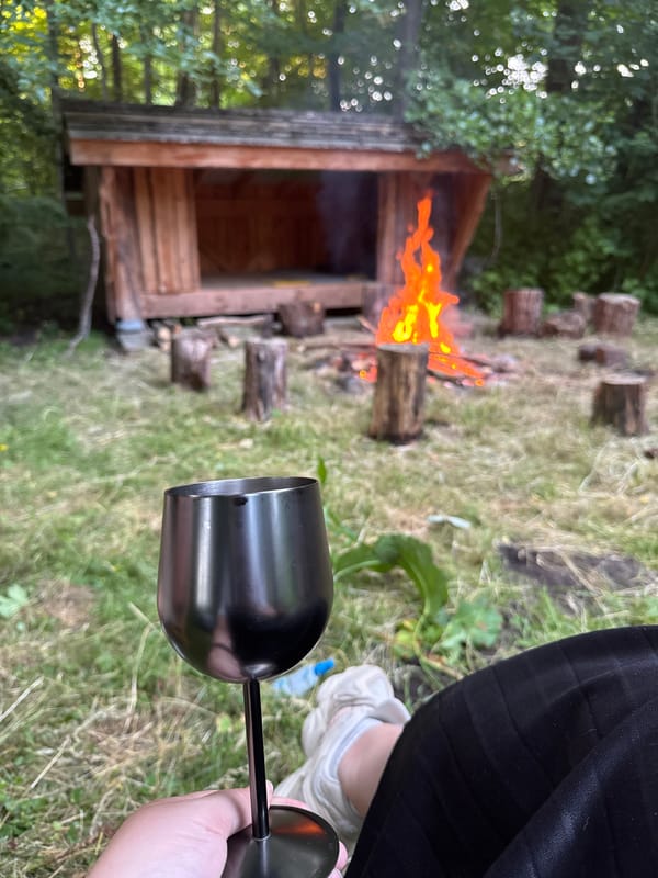Campfire evening at a woodland shelter in Vejle