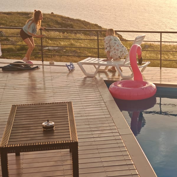 Pink flamingo float spotted in backyard pool in Russia