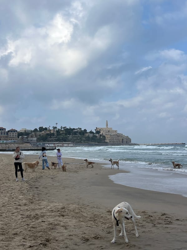 Early morning scenes captured at Tel Aviv beach and interior