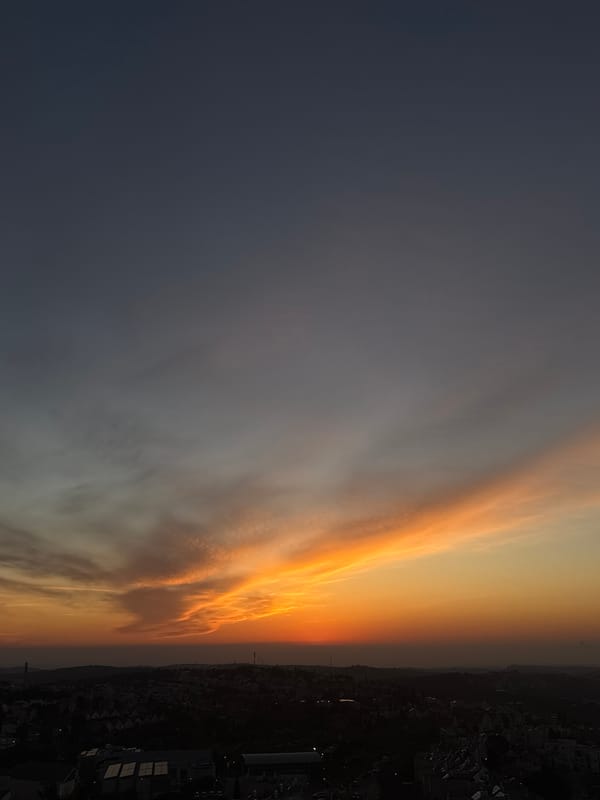 Person pets dog during sunset in Ariel