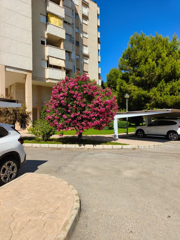 Afternoon roam through Orihuela and Campoamor, Costa Blanca