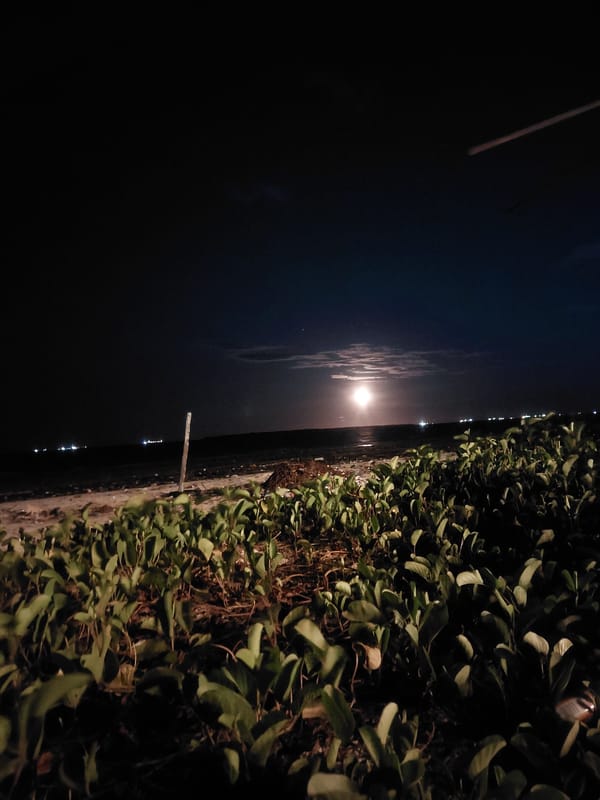 Moonlit Indian Ocean views captured along Dar es Salaam shoreline