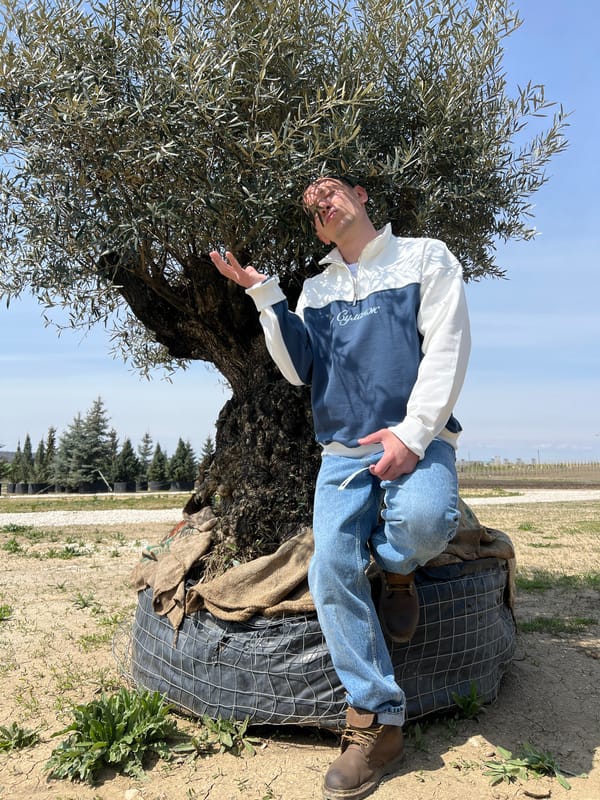 Man observed near olive tree in Ukrainian village