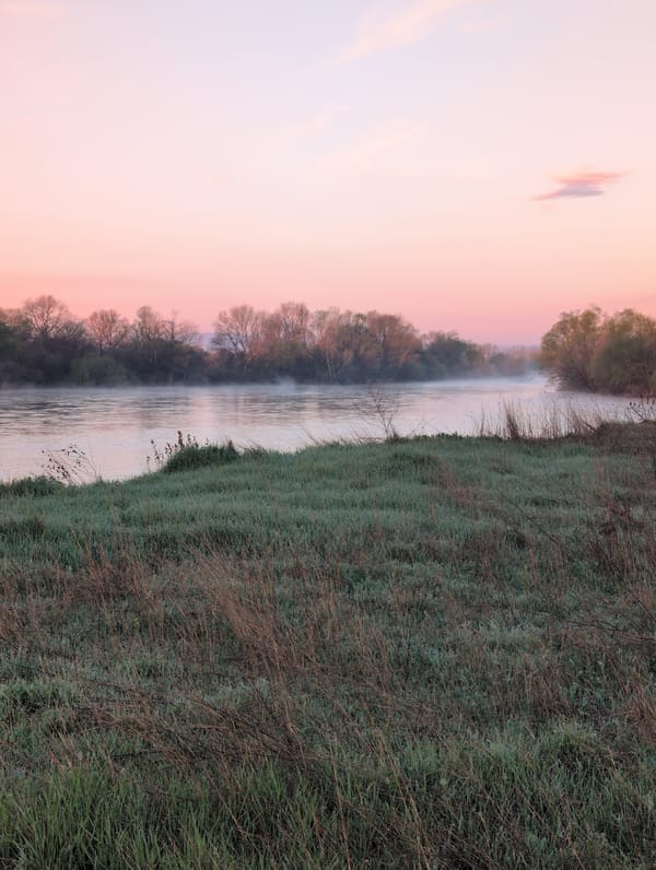 Dawn fog and frost captured near Zetiovo, Bulgaria