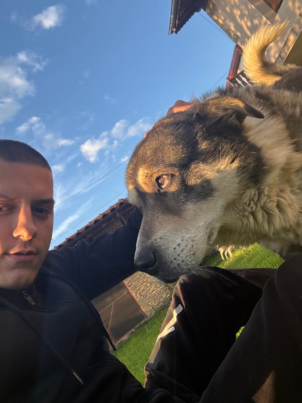Person documents pet interactions and sword in Goritsa yard