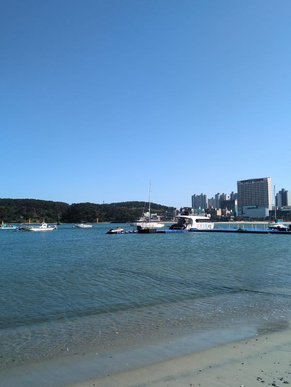 Morning harbor scenes documented at Jangsaengpo Port, Ulsan