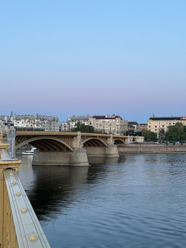 Evening photography session captures Budapest's Danube and Parliament views