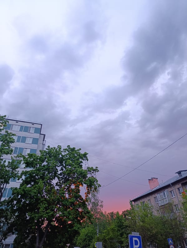 Urban daily life moments captured across city during afternoon hours