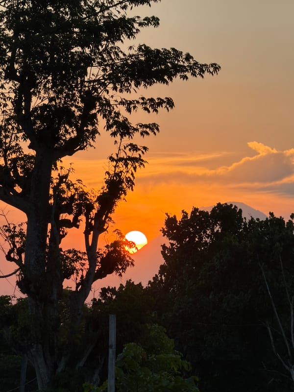 Sunset through trees and mountains in Wotgalih, Indonesia