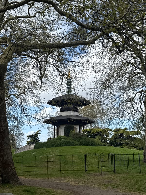 Visitors document Peace Pagoda scenes in London's Battersea Park
