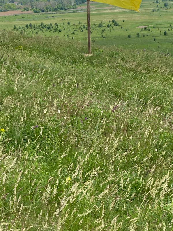 Rural Ukraine countryside visit documented in Ustyvytsia region