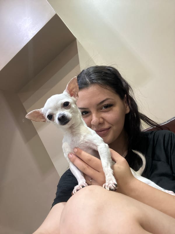 Woman with white Chihuahua photographed indoors in Sliven, Bulgaria
