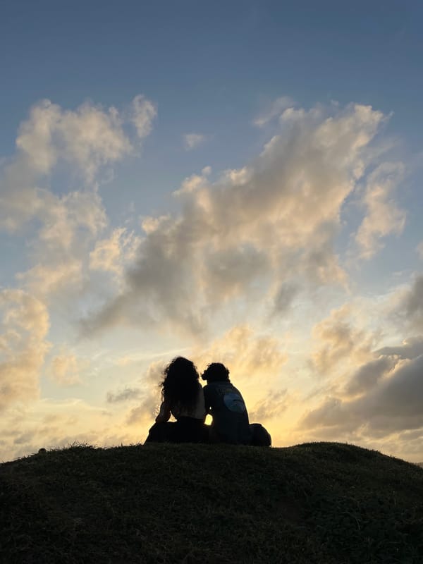 Galle Fort at golden hour — ramparts, streets, and blooms