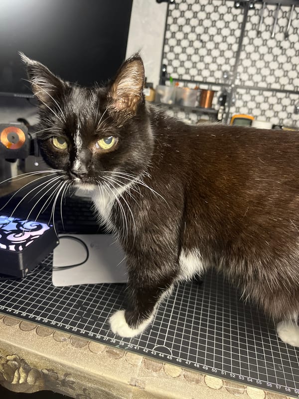Anime-decked Moscow gaming room with a cat and DIY projects