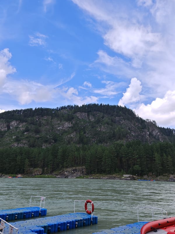Rivers, forest trails, and wildlife in a rugged wilderness setting