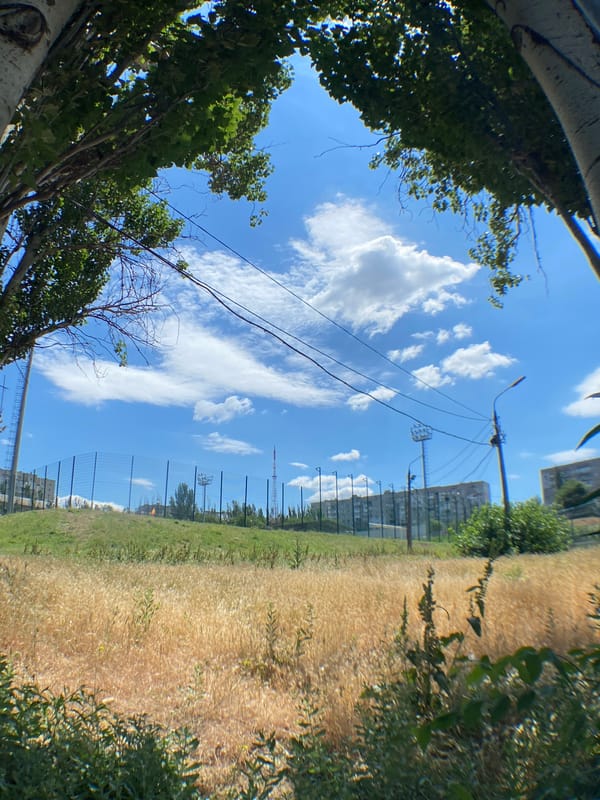 Morning sports and nature scenes at outdoor stadium complex