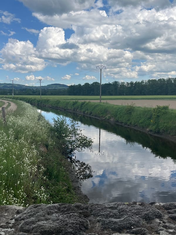 Rural canal scene documented in Saint-Just-Saint-Rambert, France