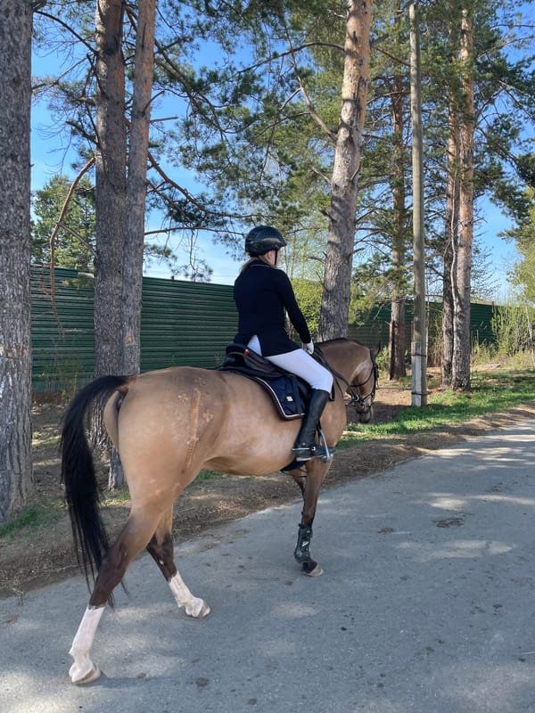 Equestrian rider spotted on paved road near Verkhneye Dubrovo