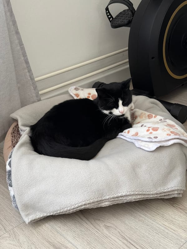 Quiet domestic moments captured in Helmond home