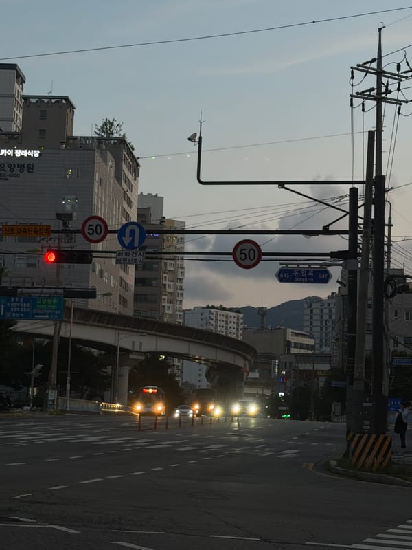 Selfies and street scenes along Uijeongbu-si's riverside corridor