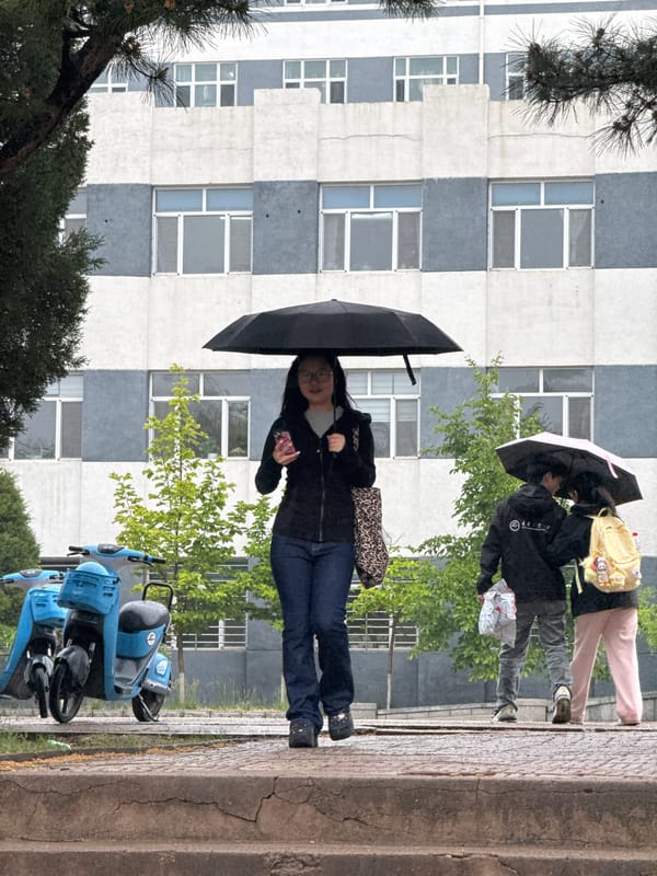 Rainy morning brings umbrellas to Zhongtun streets