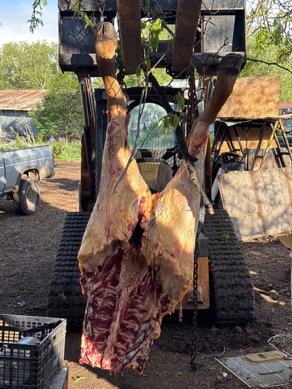 Animal processing documented in rural Boulder area