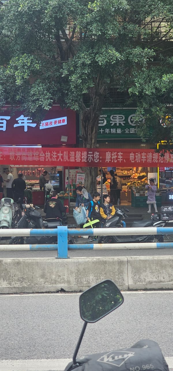 Morning street life captured across Chongqing districts with families, cats