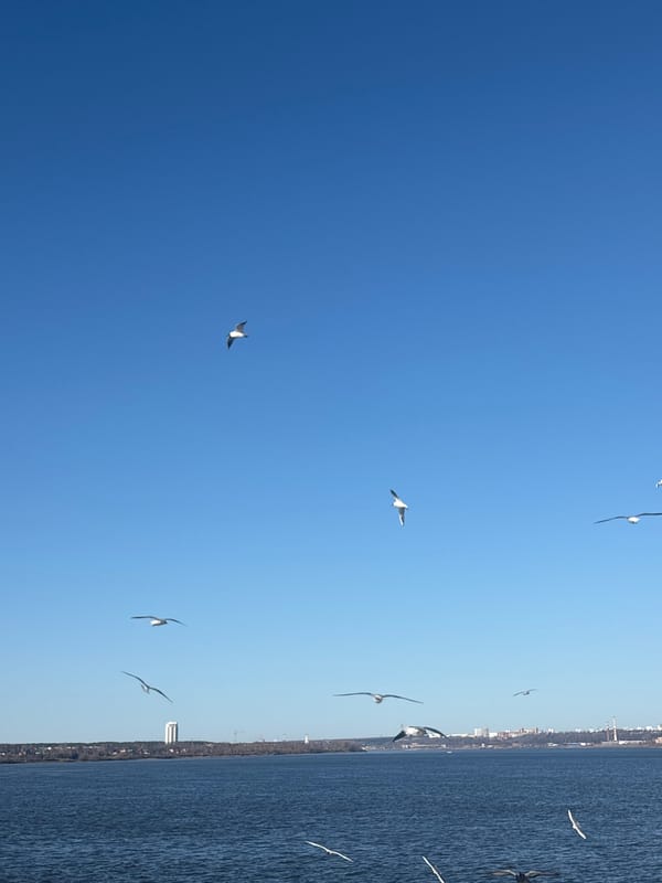 Young couple enjoys clear spring day by Perm riverfront