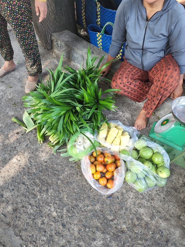 Daily life moments captured across Phu Thuy Ward, Vietnam