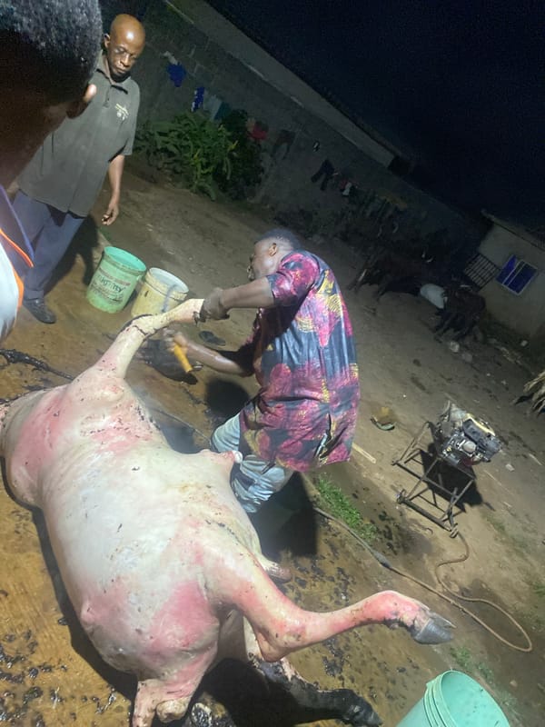 Night butchering documented by witnesses in Ikorodu, Nigeria