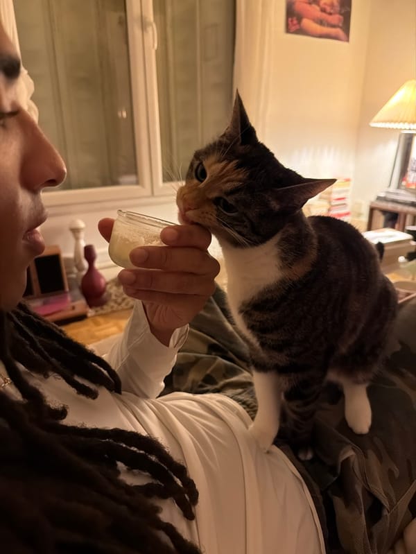 Person feeds cats milk from glass containers in Paris home