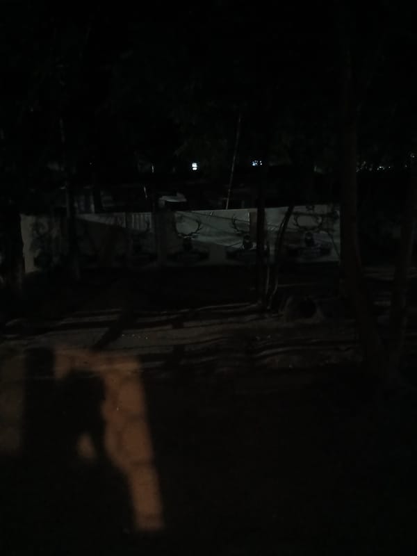 Night shots in Tashkent: shadows, blur, and the moon