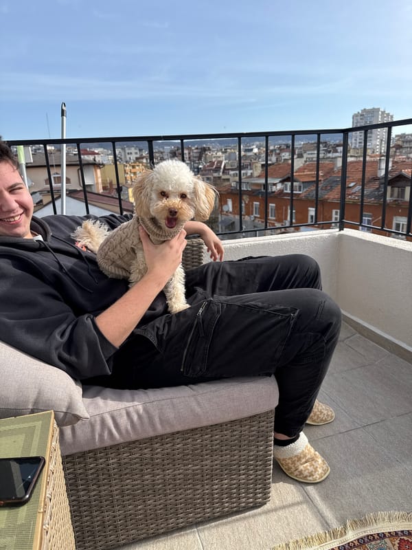 Person holds sweater-clad dog on Varna balcony morning scene