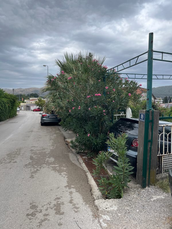 Overcast morning in a hillside town, olive trees and quiet streets