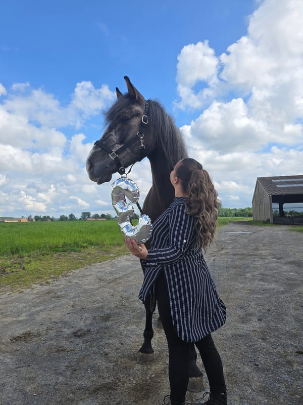 Girl with balloon stands beside horse in Belgian field