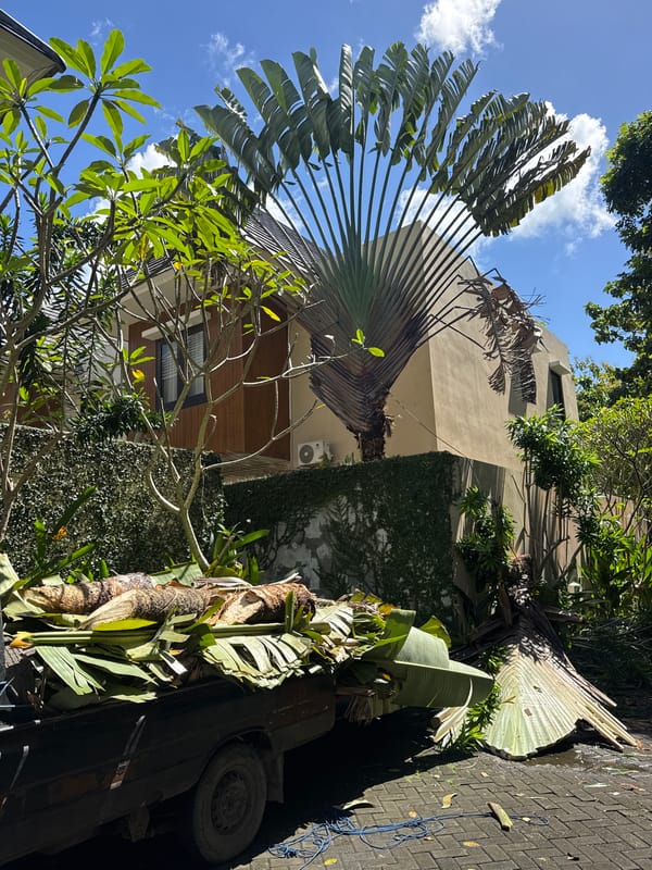 Tropical property views documented in Kuta Selatan, Indonesia