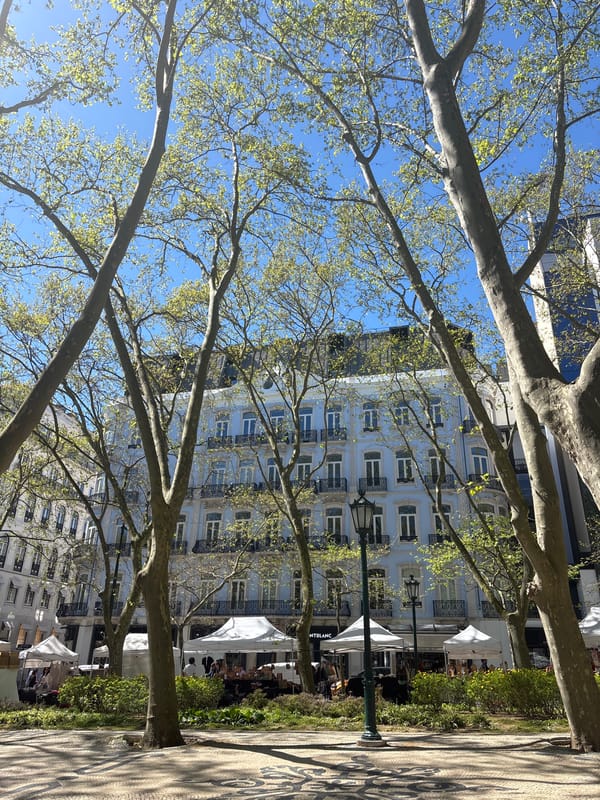 Outdoor market operates on Avenida da Liberdade in Lisbon