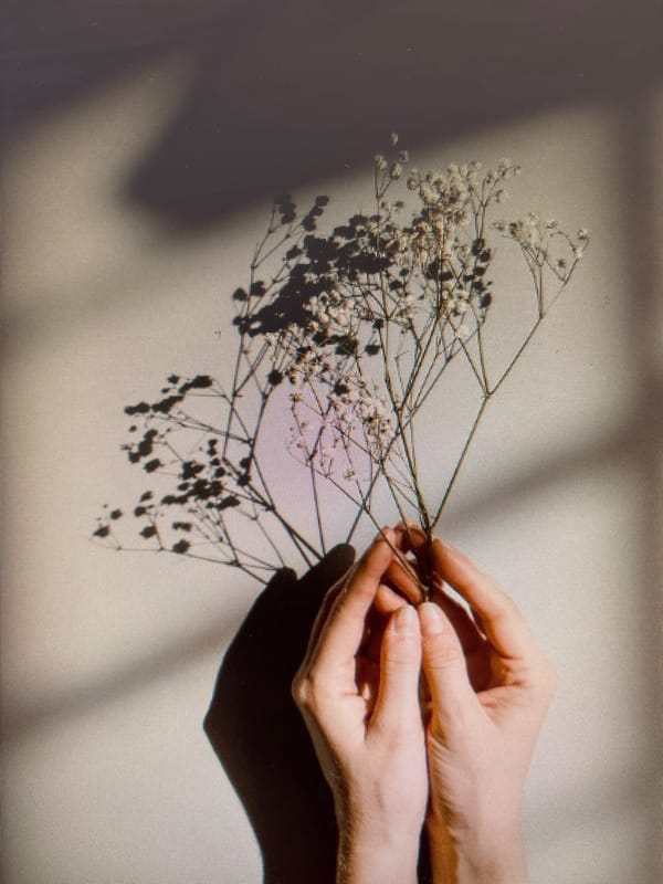 Eclectic mix of art, portraits, animals, and everyday scenes