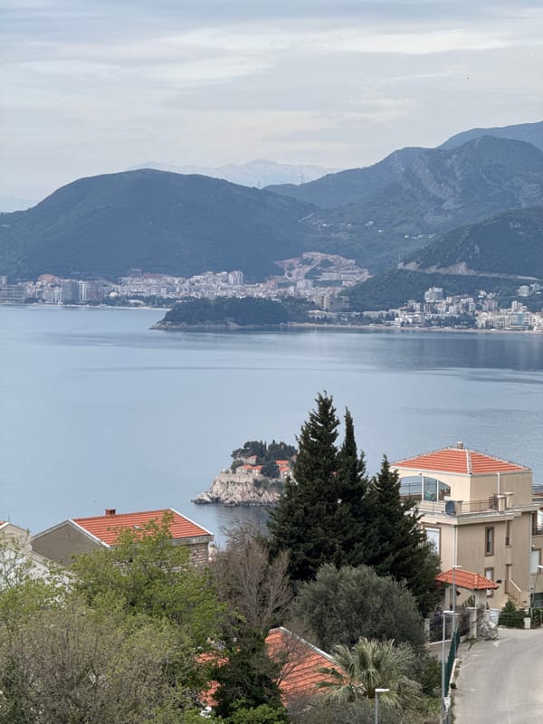 Coastal Montenegro property documented with scenic views and vintage interiors