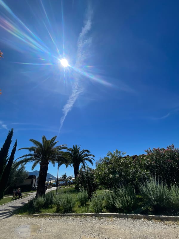 Sunny morning brings clear skies and diverse urban scenery