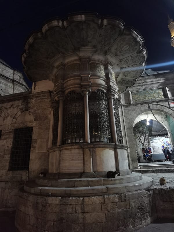 Tourist documents Istanbul landmarks and dining during evening walkabout