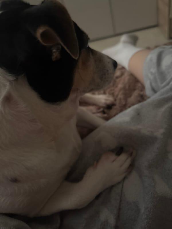 Casual selfies and dog cuddles in Vsevolozhsk apartment