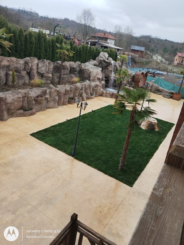Palm tree landscaping documented in Baldevo, Bulgaria