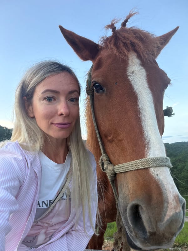 Dusk with horses near a Da Lat lake